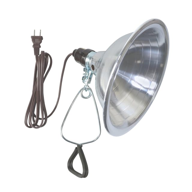 Woods 150W Clamp Light 8.5-Inch Reflector product image from Amazon.in